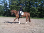 Manon met Oosteind's Zolieta