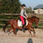 Manon en Oosteind's Gibly