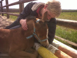 schattig
