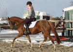 Manon en Oosteind's Zolieta