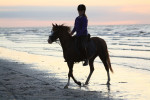 Uitwaaien Ameland