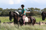 Uitwaaien Ameland