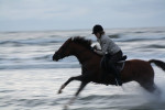 Uitwaaien Ameland