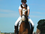Winnaar dressuur