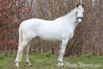Miep op haar mooist